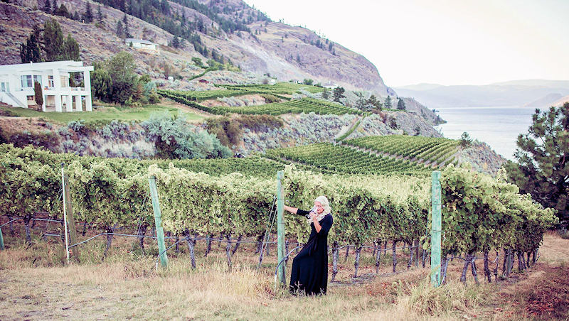 Oak Winery